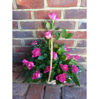 Flower Arrangement Gift
